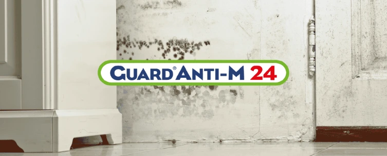 Anti M 24