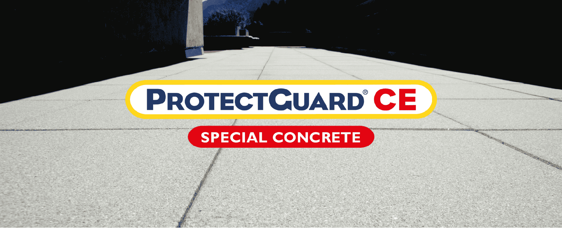 ProtectGuard CE