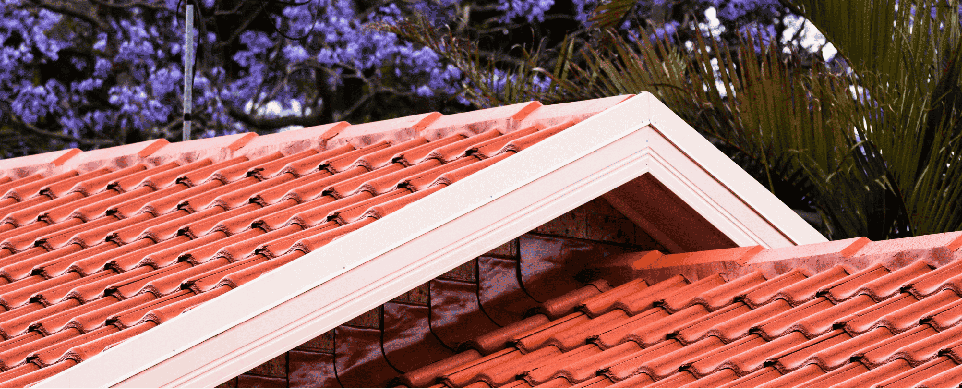 ImperGuard® Ultra 4 in 1 Anti-Microbial Sealer