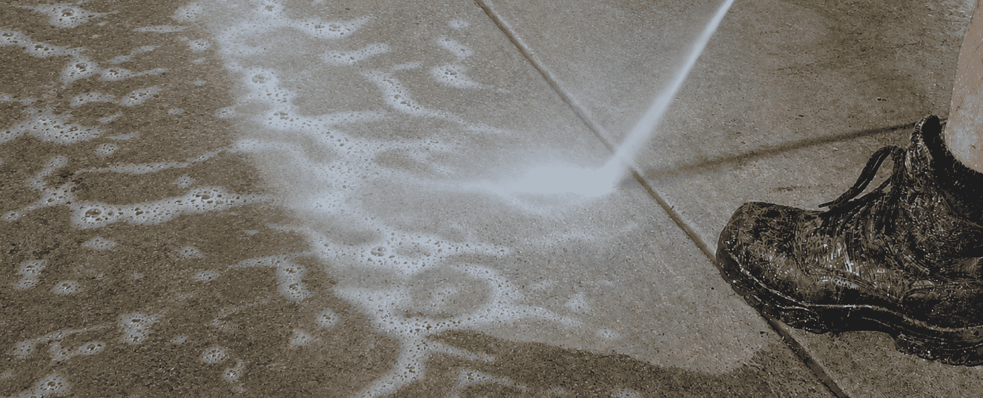 Guard Cleaner