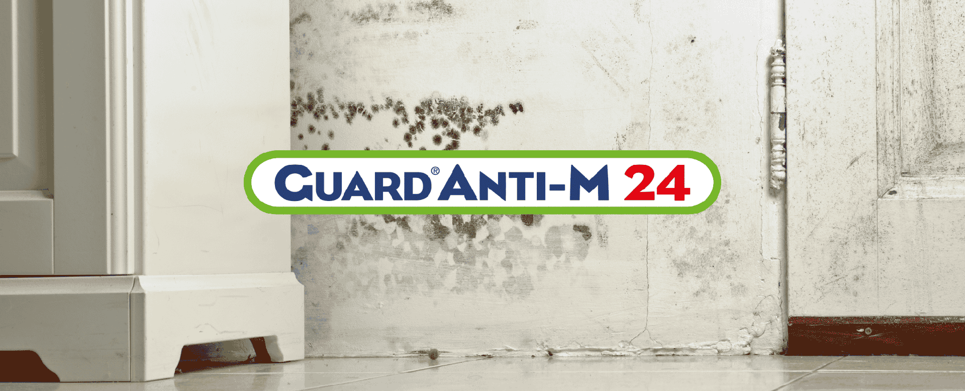 Anti-M 24